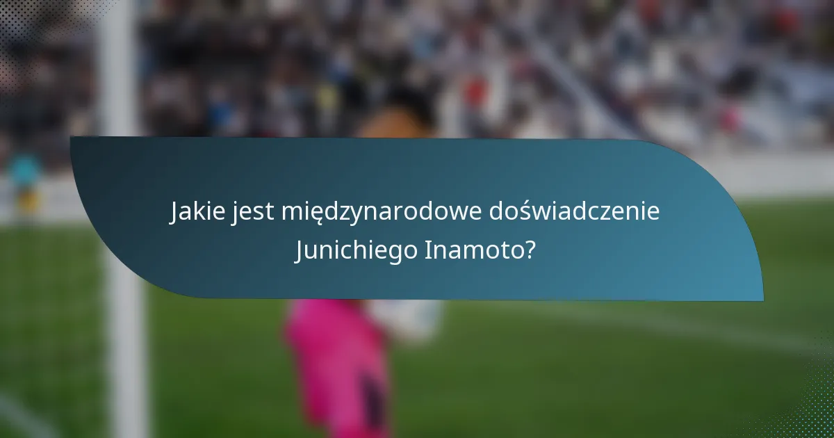 Jakie jest międzynarodowe doświadczenie Junichiego Inamoto?